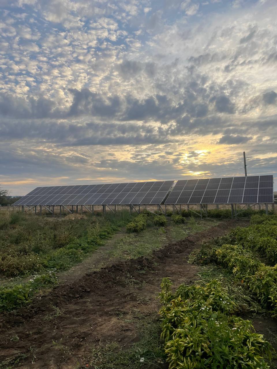 Мережевий інвертор і електрощит сонячної електростанції 72 кВт для бізнесу