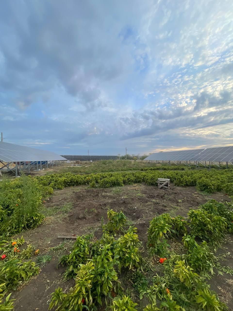 Розміщення сонячних панелей мережевої станції 72 кВт для бізнесу