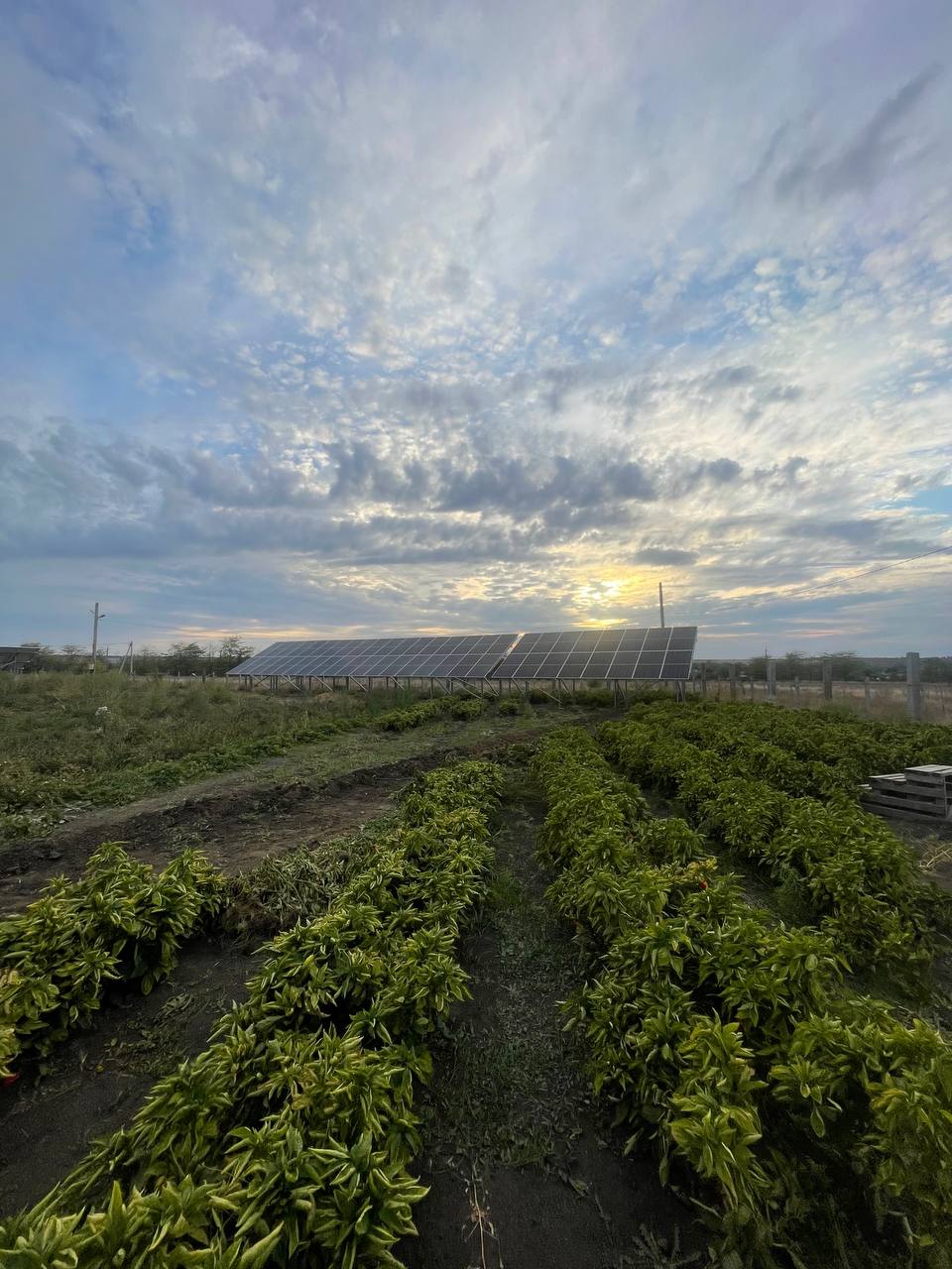 Солнечные панели сетевой солнечной станции 72 кВт на коммерческом объекте